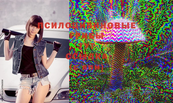 mix Магас