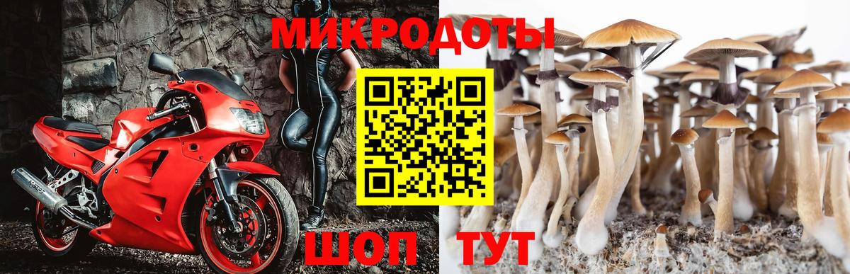 Феодосия  Псилоцибиновые грибы ЛСД  даркнет сайт  Псилоцибиновые грибы MAGIC MUSHROOMS  Вход с VPN 